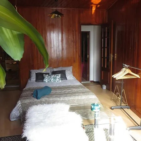 Apartment Downtown Sta Catarina *