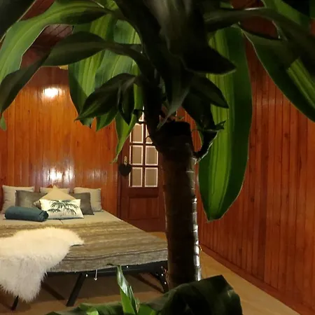 Apartment Downtown Sta Catarina
